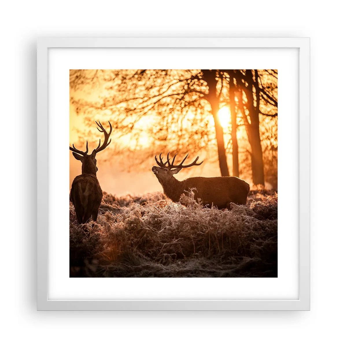 Póster en marco blanco - El sueño de un cazador - 40x40 cm