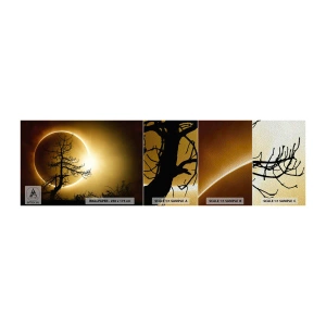 Muestra de fotomural Premium Sand - Eclipse total - Eclipse, Árbol, Paisaje - 100x30 cm
