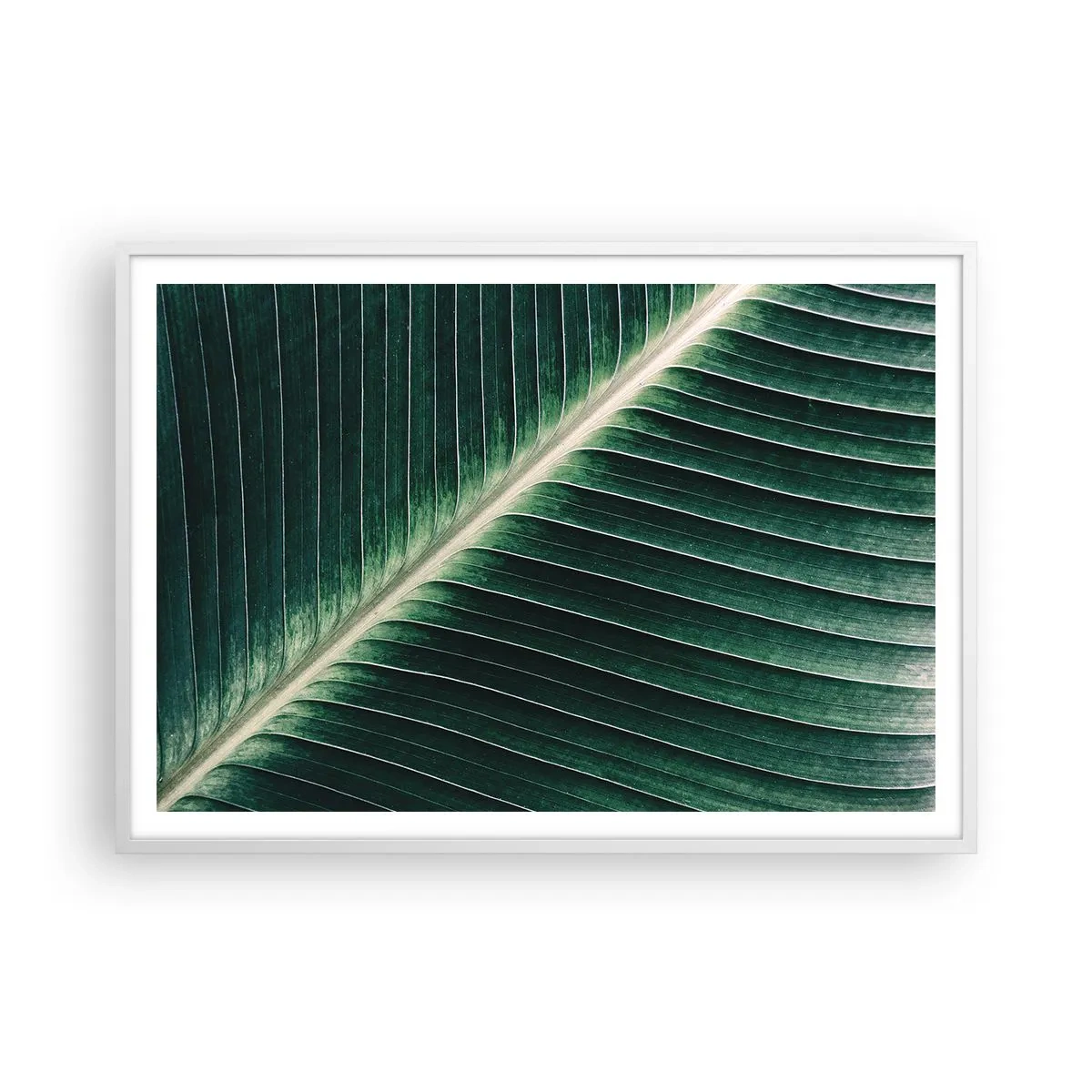 Póster en marco blanco - El ritmo de la naturaleza - 100x70 cm