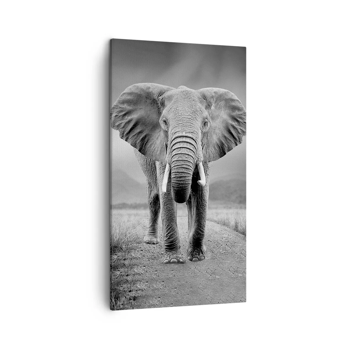 Cuadro sobre lienzo - Impresión de Imagen - El anfitrión da la bienvenida - 45x80 cm