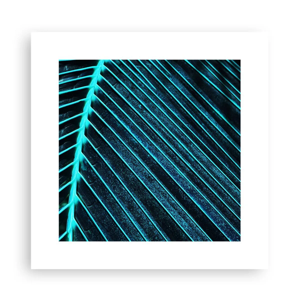 Póster - La textura del verde - 30x30 cm
