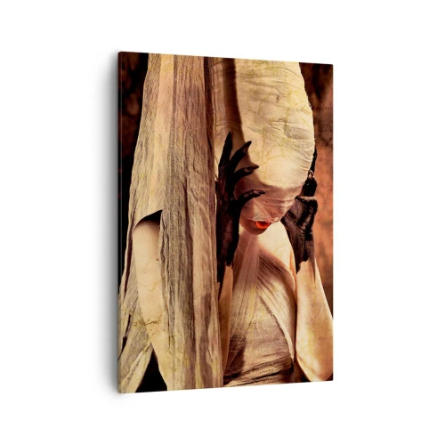 Cuadro sobre lienzo - Impresión de Imagen - Una mujer con velo y un estilo misterioso sobre un fondo oscuro. - 50x70cm - Entre el bien y el mal - Decoración de pared moderna para salón y dormitorio ARTTOR