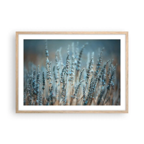 Póster en marco roble claro - Fragante pasto - 70x50 cm
