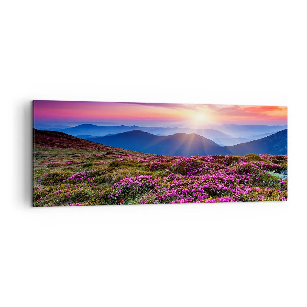 Cuadro sobre lienzo - Impresión de Imagen - Prado de montaña con flores al atardecer - 140x50cm - Dulce aroma a frescura - Decoración de pared moderna para salón y dormitorio ARTTOR