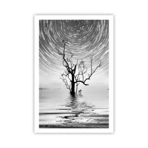 Póster - Una sinfonía de la naturaleza - 61x91 cm