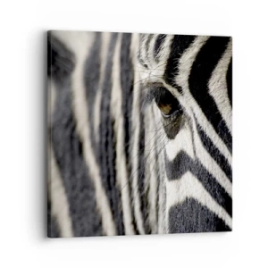 Cuadro sobre lienzo - Impresión de Imagen - Retrato a rayas - 30x30 cm