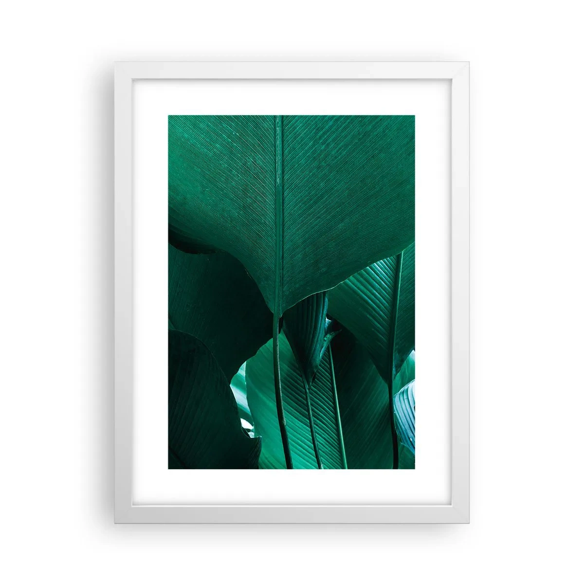 Póster en marco blanco - De cara a la luz - 30x40 cm