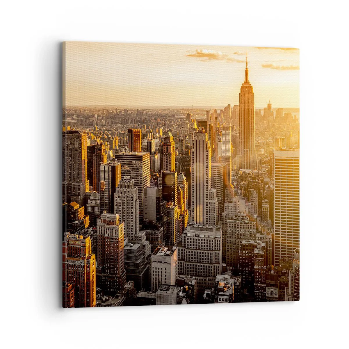 Cuadro sobre lienzo - Impresión de Imagen - Creciendo al sol - 70x70 cm