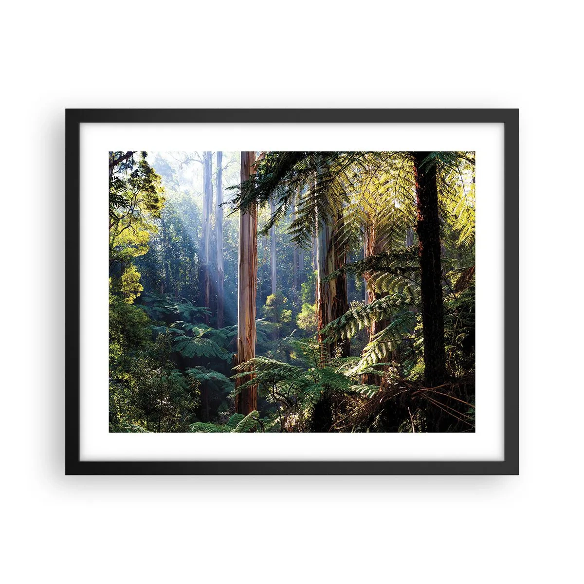 Póster en marco negro - Un cuento de hadas del bosque - 50x40 cm