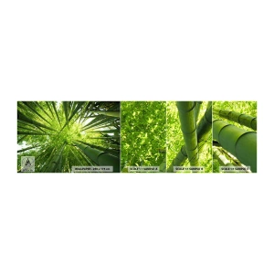 Muestra de fotomural autoadhesivo Deluxe Sticker - En un bosquecillo de bambú - Bosque de bambú, Selva, Bambú - 100x30 cm