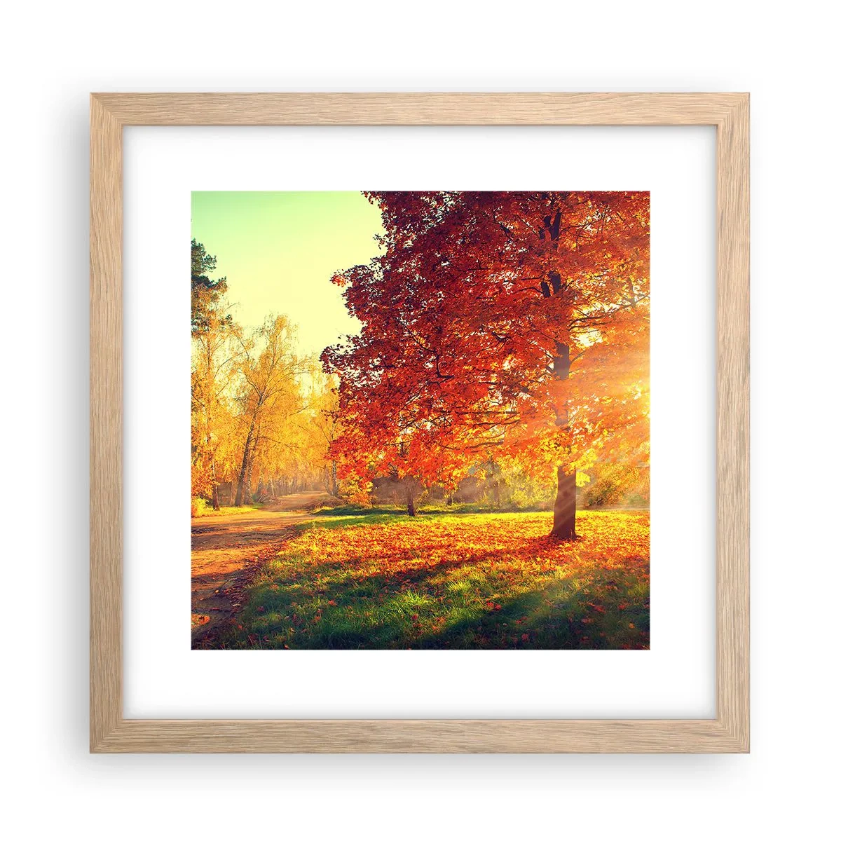 Póster en marco roble claro - El rojo es hermoso - 30x30 cm