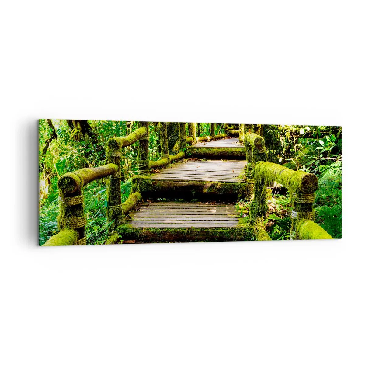 Cuadro sobre lienzo - Impresión de Imagen - Un puente de madera cubierto de musgo en una selva tropical. - 140x50cm - A través de un corredor verde - Decoración de pared moderna para salón y dormitorio ARTTOR