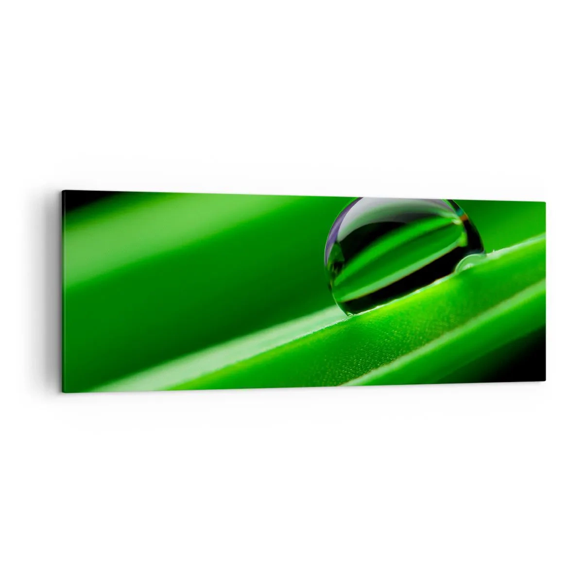 Cuadro sobre lienzo - Impresión de Imagen - Primer plano de una gota de rocío sobre una hoja verde - 140x50cm - La vida de cerca - Decoración de pared moderna para salón y dormitorio ARTTOR