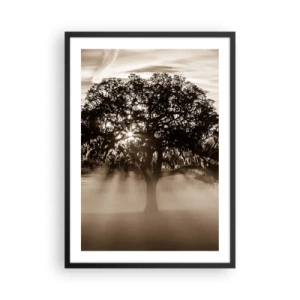 Póster en marco negro - Árbol en la niebla con rayos de luz. - 50x70cm - Un árbol de buenas noticias  - Decoración de pared moderna para salón y dormitorio ARTTOR