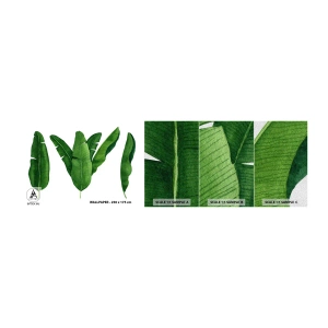 Muestra de fotomural Premium Sand - Simetría verde - Hoja de banana, Tropical, Estilo botánico - 100x30 cm