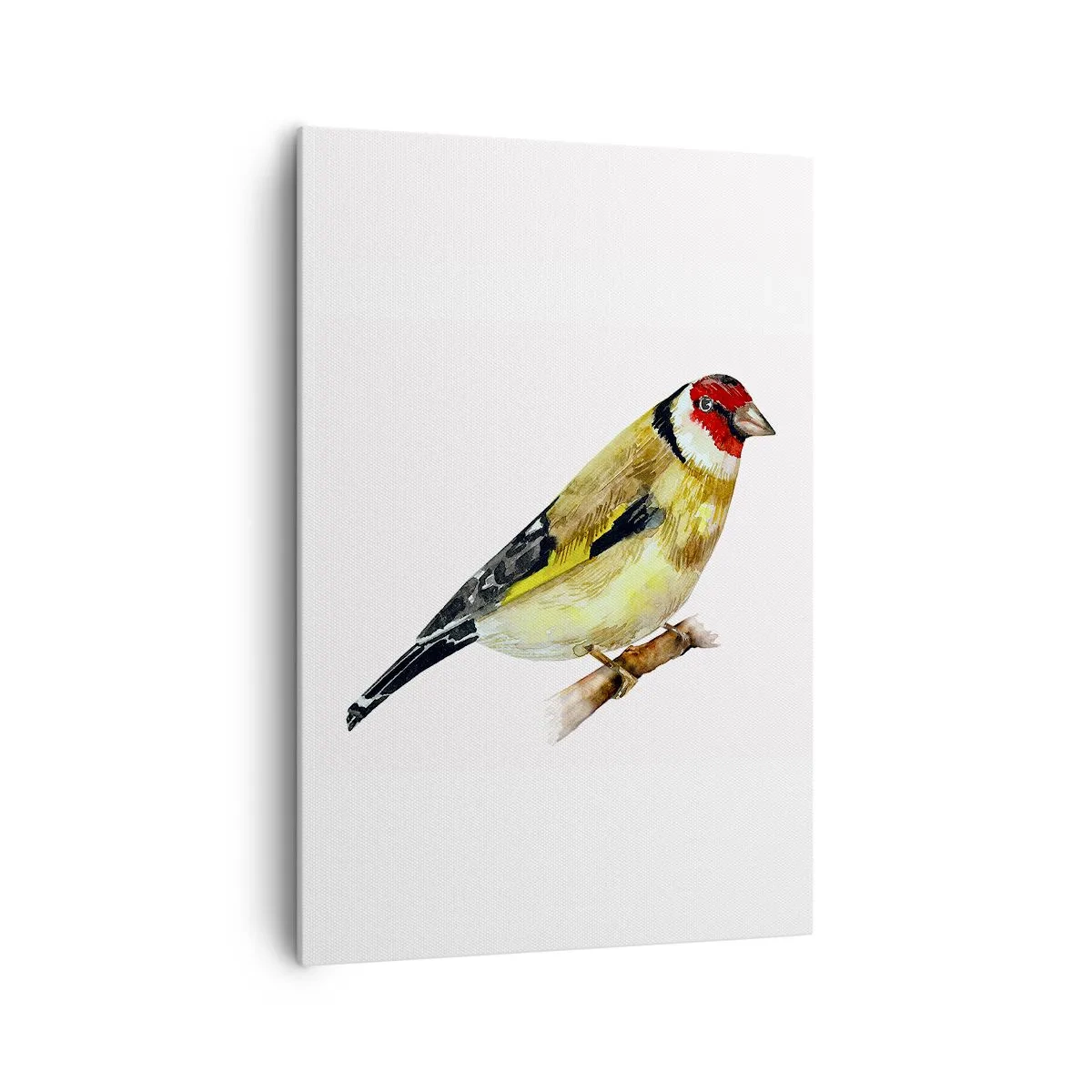 Cuadro sobre lienzo - Impresión de Imagen - Un pájaro con la cabeza roja en una rama. - 70x100cm - Retrato de pájaro - Decoración de pared moderna para salón y dormitorio ARTTOR