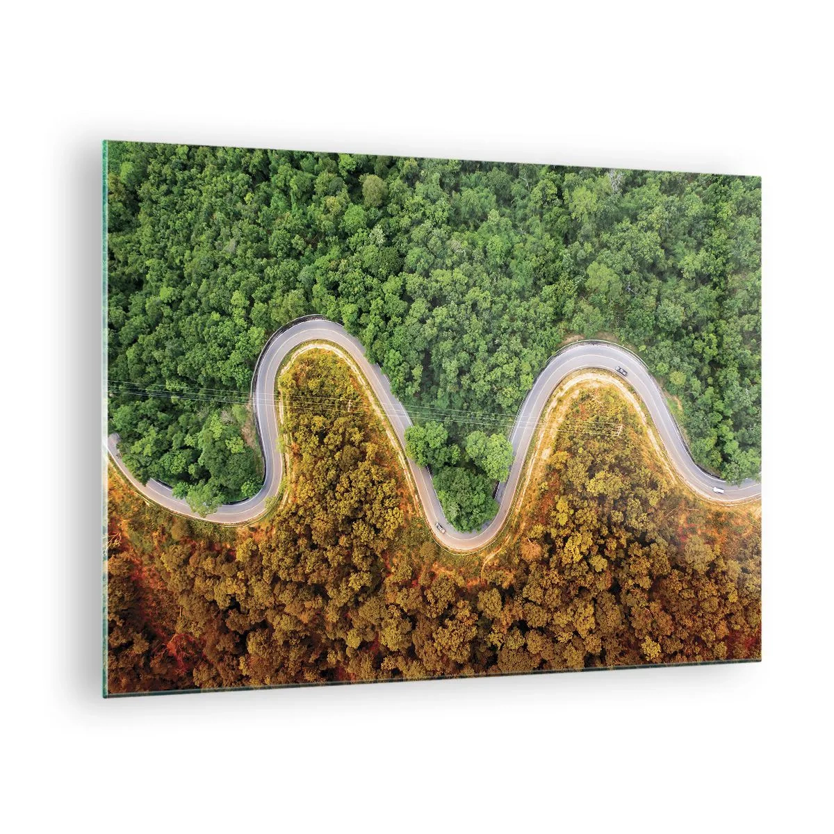 Cuadro sobre vidrio - Impresiones sobre Vidrio - Un camino sinuoso a través de un denso bosque visto a vista de pájaro. - 70x50cm - Frontera serpenteante - Decoración de pared moderna para salón y dormitorio ARTTOR