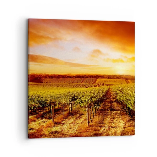 Cuadro sobre lienzo - Impresión de Imagen - Delicadamente afrutado con un toque de sol - 70x70 cm