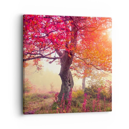 Cuadro sobre lienzo - Impresión de Imagen - Un frenesí de floración - 40x40 cm