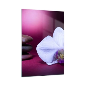 Cuadro sobre vidrio - Impresiones sobre Vidrio - Orquídea blanca y piedras sobre un fondo de luz violeta. - 50x70cm - Estudio de frescura en violeta - Decoración de pared moderna para salón y dormitorio ARTTOR