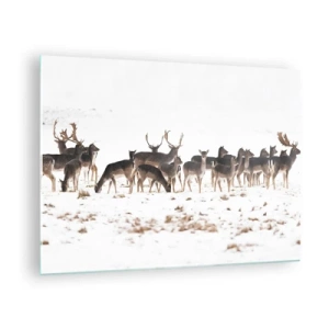 Cuadro sobre vidrio - Impresiones sobre Vidrio - Una fotografía de una manada de ciervos en un paisaje nevado. - 70x50cm - ¿Se acerca la Navidad? - Decoración de pared moderna para salón y dormitorio ARTTOR