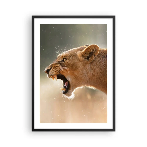 Póster en marco negro - Primer plano de una leona furiosa en pleno movimiento - 50x70cm - Silencio, es mi turno de palabra - Decoración de pared moderna para salón y dormitorio ARTTOR