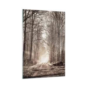Cuadro sobre vidrio - Impresiones sobre Vidrio - Un sendero forestal entre árboles en tonos sepia. - 80x120cm - La catedral del bosque - Decoración de pared moderna para salón y dormitorio ARTTOR