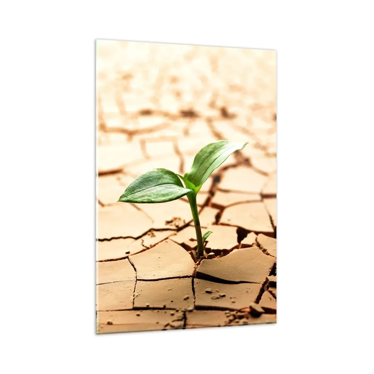 Cuadro sobre vidrio - Impresiones sobre Vidrio - Una planta verde que crece en tierra seca y agrietada. - 80x120cm - El poder indomable de la vida - Decoración de pared moderna para salón y dormitorio ARTTOR