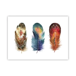 Póster - Rituales, ceremonias, secretos - 70x50 cm