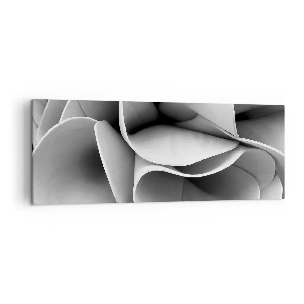 Cuadro sobre lienzo - Impresión de Imagen - Detalles en blanco y negro de formas abstractas. - 140x50cm - Sucede en el espacio - Decoración de pared moderna para salón y dormitorio ARTTOR