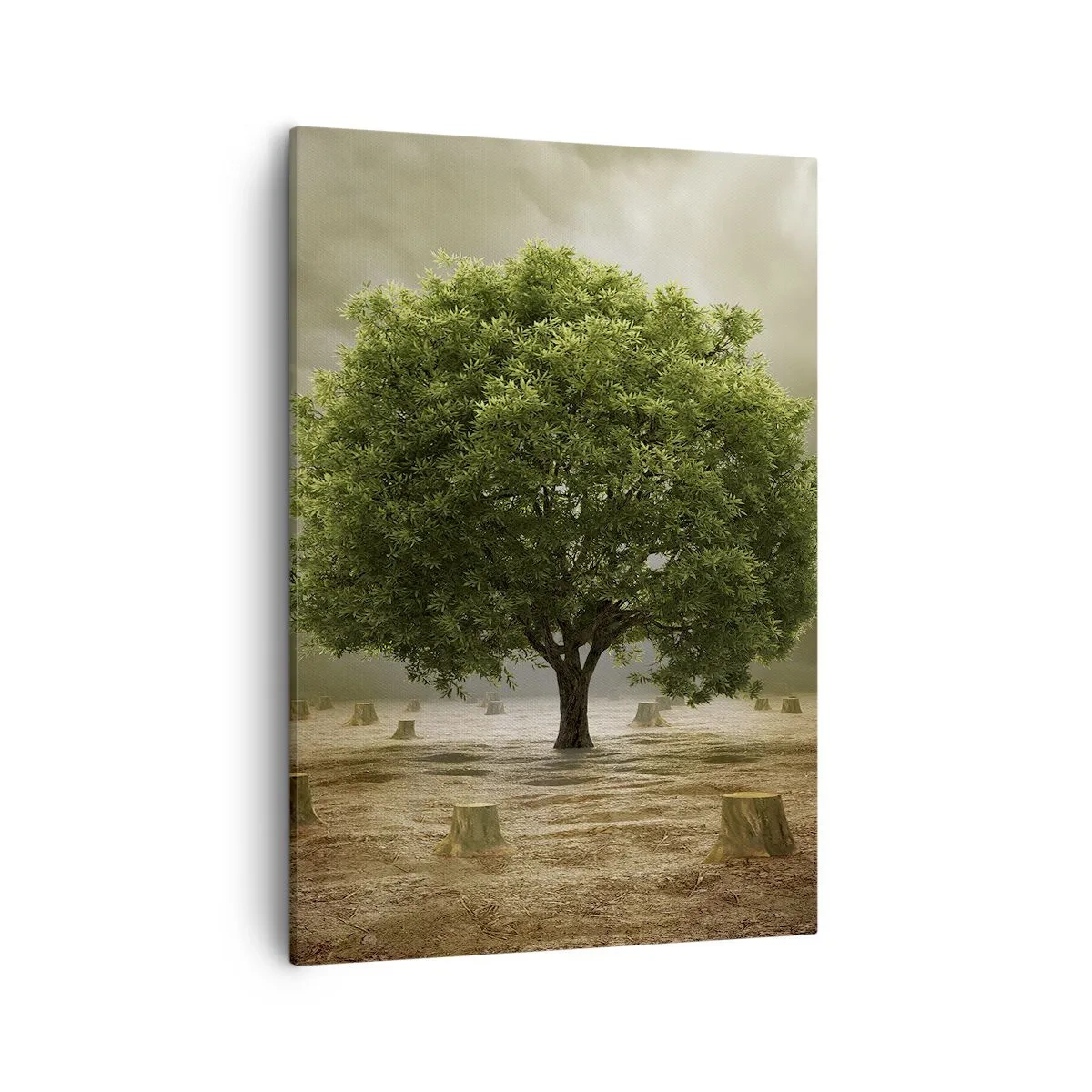 Cuadro sobre lienzo - Impresión de Imagen - Un árbol verde rodeado de troncos talados contra un cielo nublado. - 50x70cm - La esperanza - Decoración de pared moderna para salón y dormitorio ARTTOR