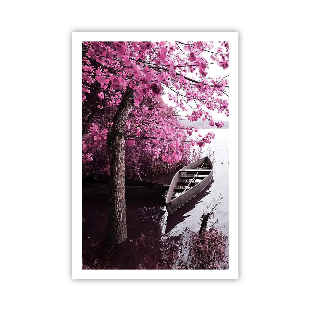 Póster - En el silencio rosa - 61x91 cm