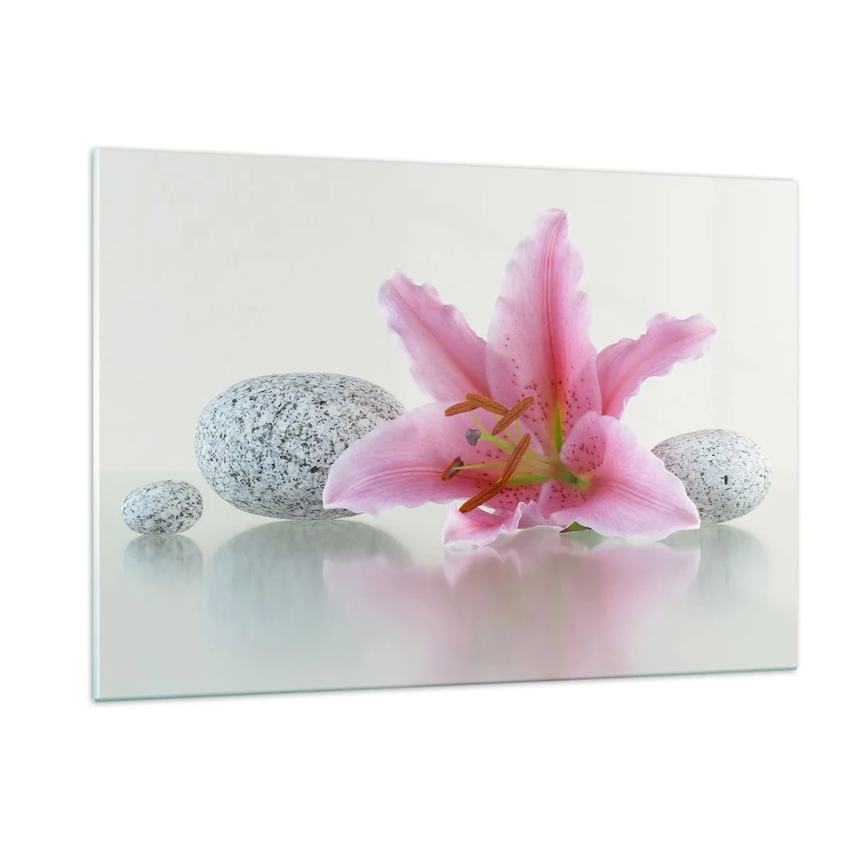 Cuadro sobre vidrio - Impresiones sobre Vidrio - Lirio rosa sobre un fondo de piedras blancas en estilo spa. - 120x80cm - Estudio en rosa, gris y blanco - Decoración de pared moderna para salón y dormitorio ARTTOR