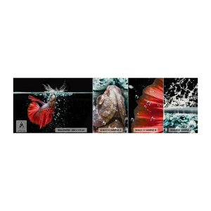 Muestra de fotomural Premium Sand - Tienes tres deseos - Abstracción, Acuario, Pez - 100x30 cm