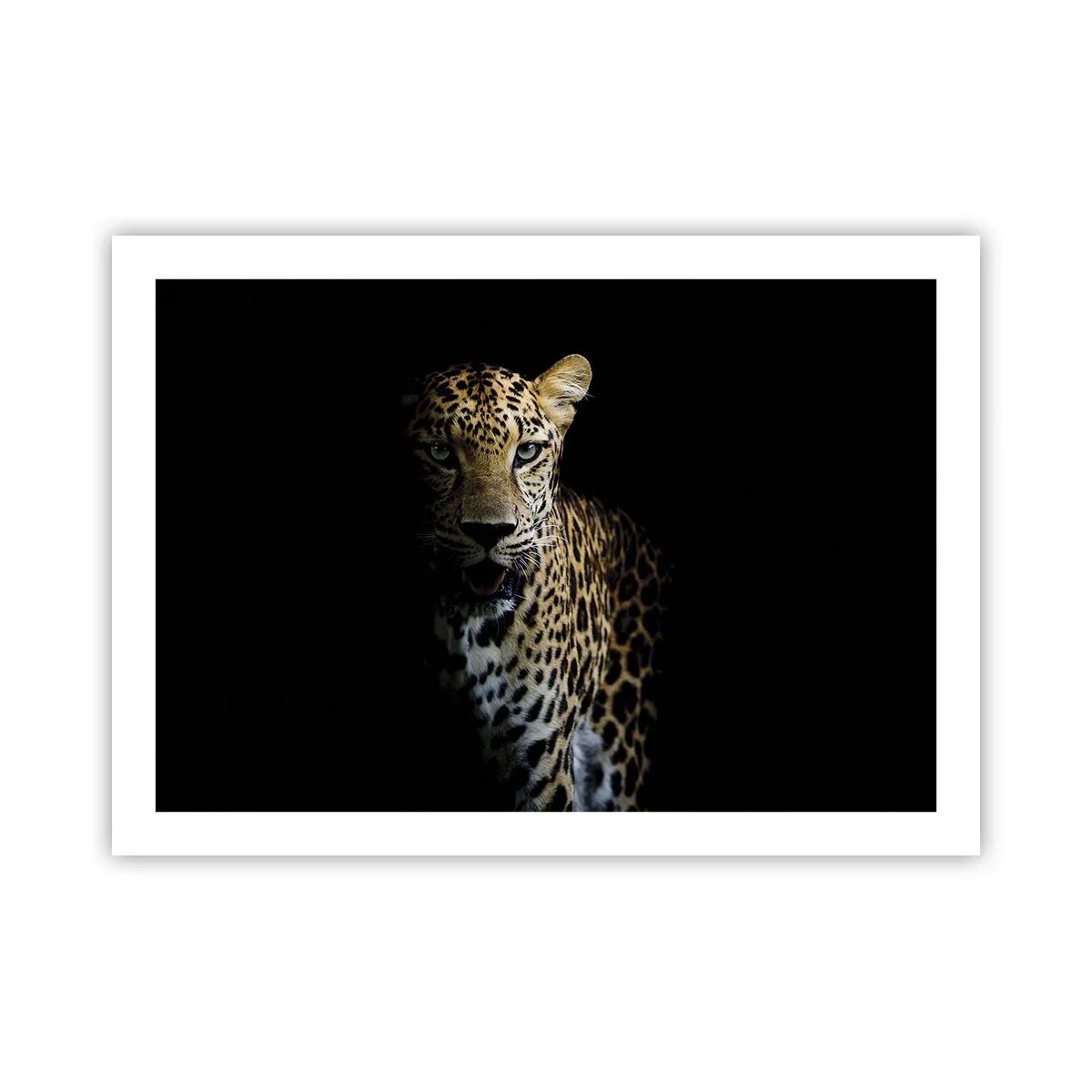 Póster - Belleza oscura - 70x50 cm
