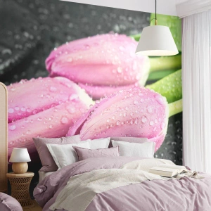 Fotomural Premium Sand - Lilas sobre piedra negra - flores, tulipanes, Ramo de flores - 350x256 cm