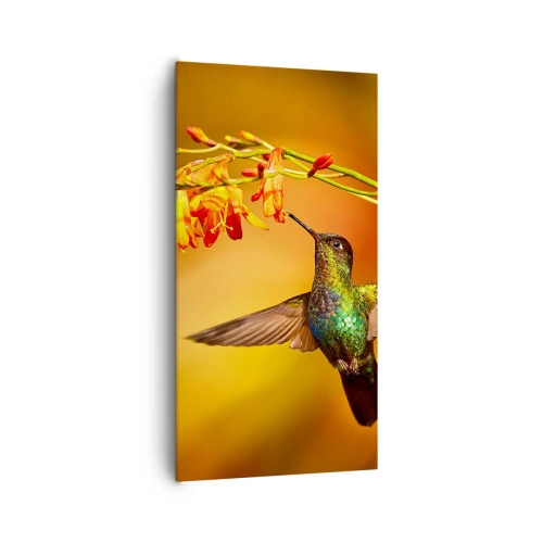 Cuadro sobre lienzo - Impresión de Imagen - Mensajero de la luz - 65x120 cm