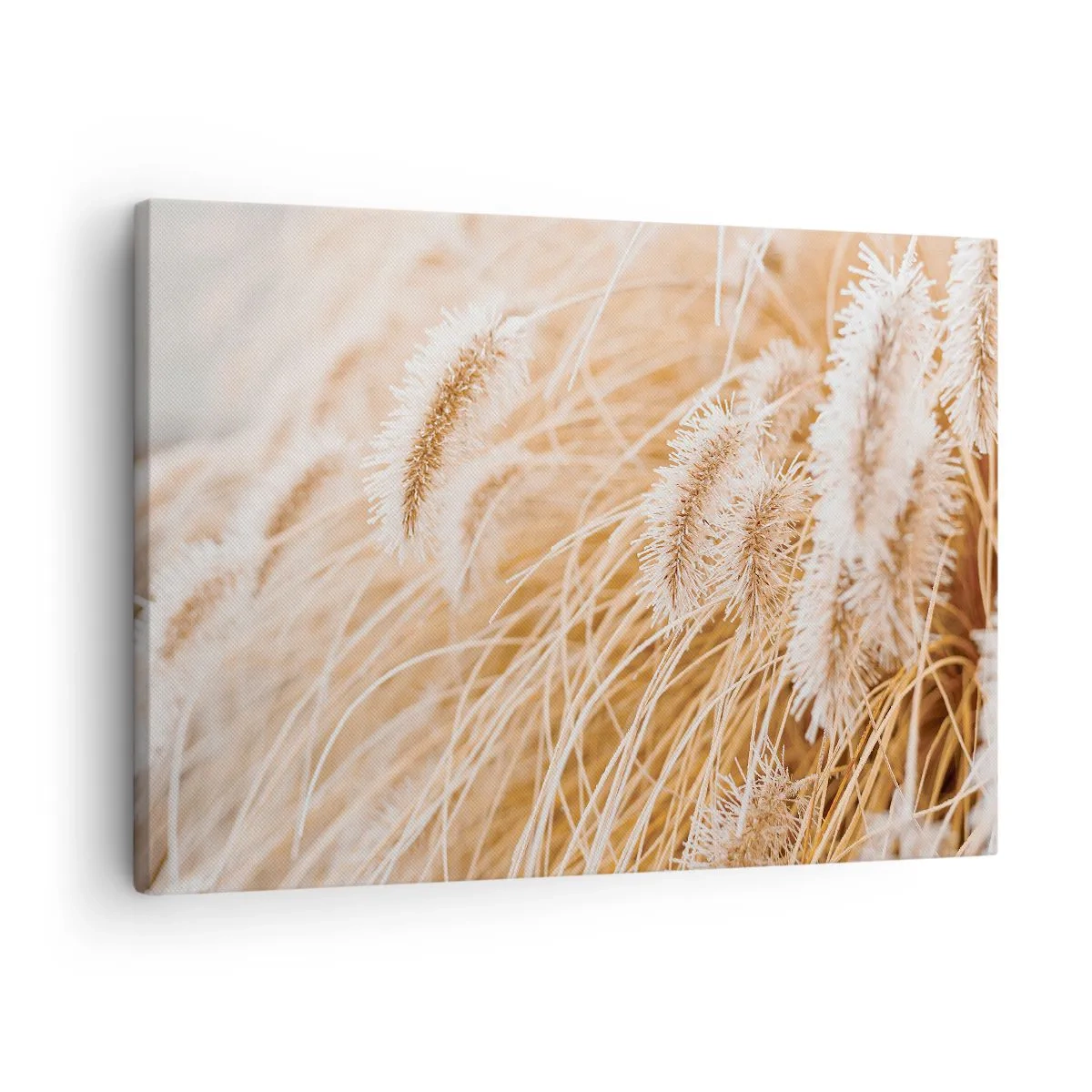 Cuadro sobre lienzo - Impresión de Imagen - Primer plano de hierbas delicadas y doradas a la luz del sol. - 70x50cm - El dorado susurro de las hierbas - Decoración de pared moderna para salón y dormitorio ARTTOR