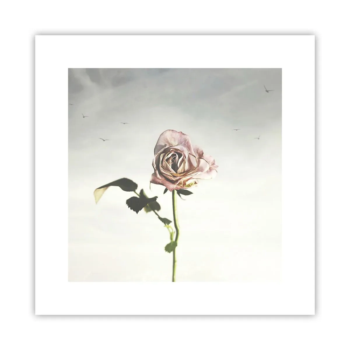 Póster - Bienvenida a la primavera - 30x30 cm