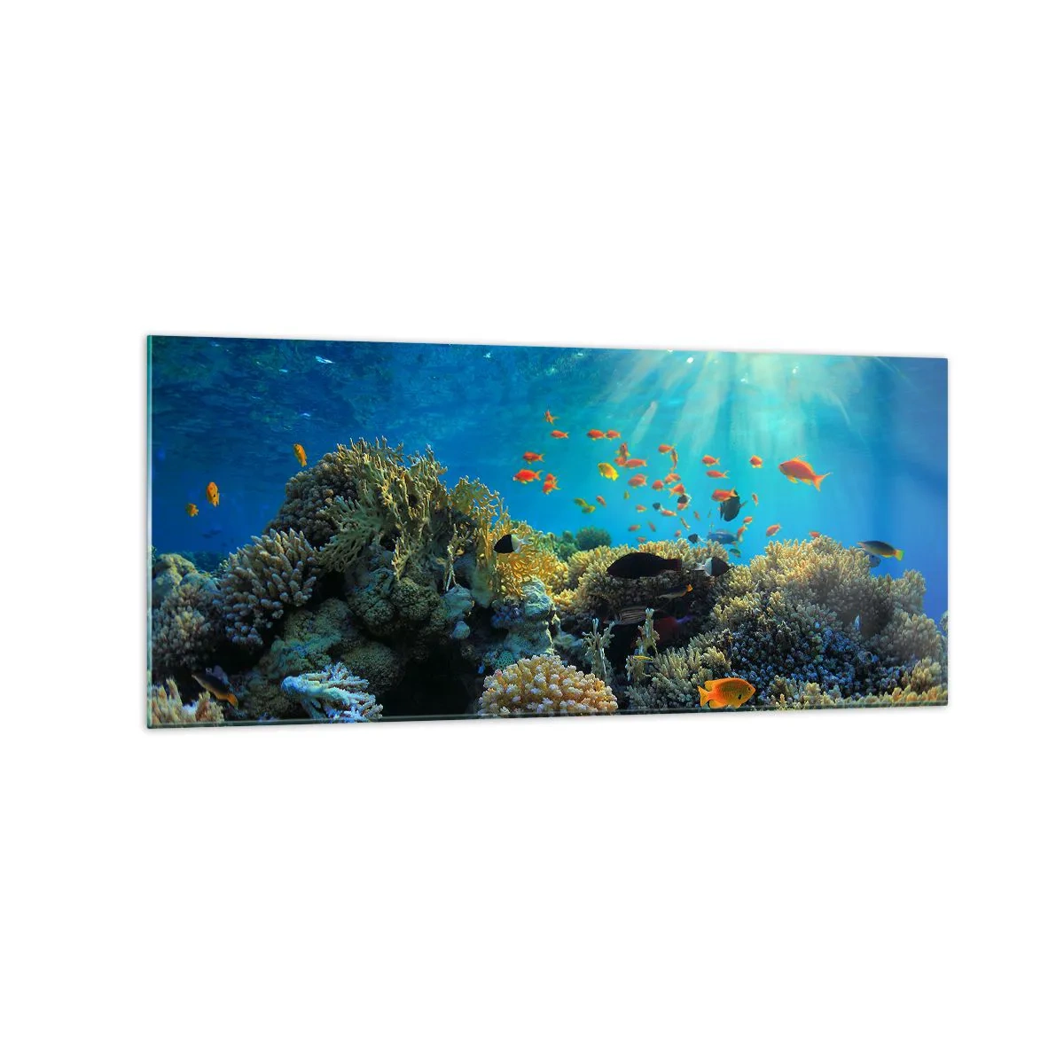 Cuadro sobre vidrio - Impresiones sobre Vidrio - Arrecife de coral con peces bajo los rayos del sol bajo el agua. - 120x50cm - Tesoros submarinos - Decoración de pared moderna para salón y dormitorio ARTTOR