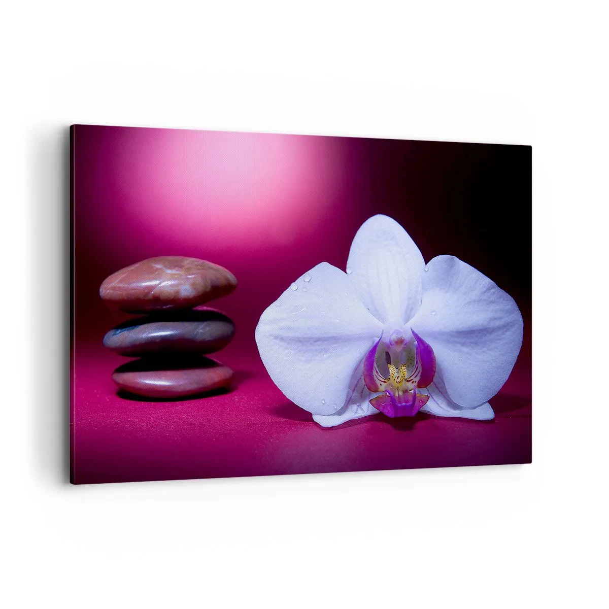 Cuadro sobre lienzo - Impresión de Imagen - Orquídea blanca y piedras sobre fondo rosa. - 120x80cm - Estudio de frescura en violeta - Decoración de pared moderna para salón y dormitorio ARTTOR