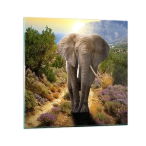 Cuadro sobre vidrio - Impresiones sobre Vidrio - Este es el aspecto del Edén - 70x70 cm