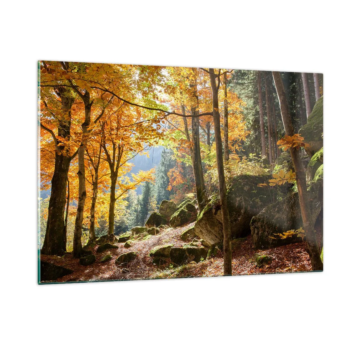 Cuadro sobre vidrio - Impresiones sobre Vidrio - Bosque otoñal con rayos de sol y piedras. - 120x80cm - Tiempo de descanso - Decoración de pared moderna para salón y dormitorio ARTTOR