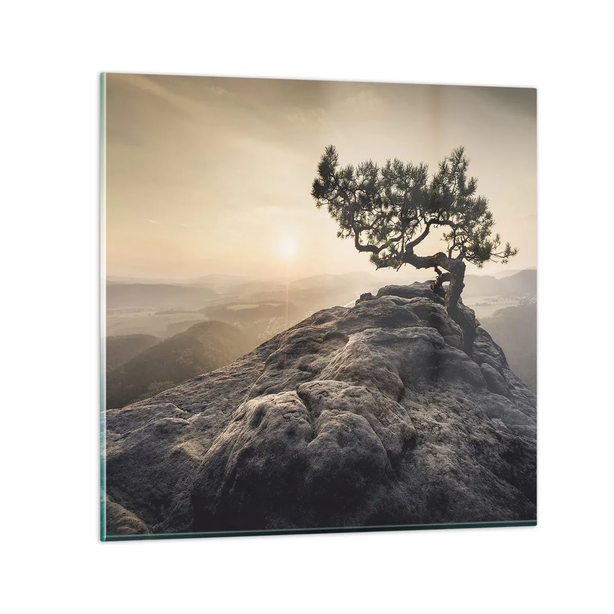 Cuadro sobre vidrio - Impresiones sobre Vidrio - La vida se abre camino - 40x40 cm