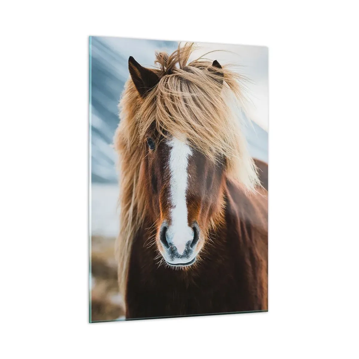Cuadro sobre vidrio - Impresiones sobre Vidrio - Un caballo frente a un paisaje montañoso en invierno. - 50x70cm - ¿Puedes sentir la libertad? - Decoración de pared moderna para salón y dormitorio ARTTOR