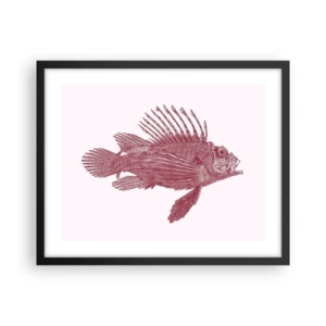 Póster en marco negro - Un habitante de aguas exóticas - 50x40 cm