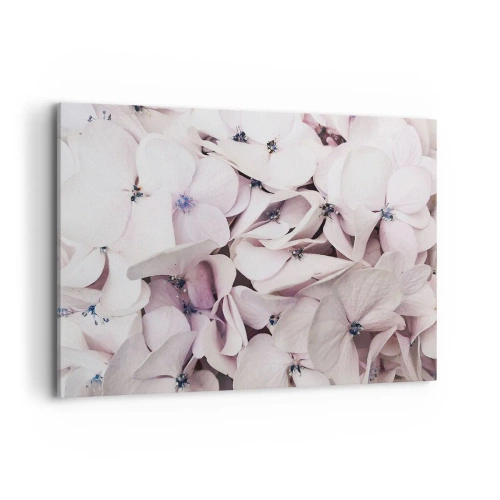 Cuadro sobre lienzo - Impresión de Imagen - Delicadas hortensias blancas en tonos pastel. - 120x80cm - En un torrente de flores - Decoración de pared moderna para salón y dormitorio ARTTOR