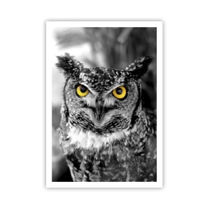 Póster - Nada se puede ocultar - 70x100 cm