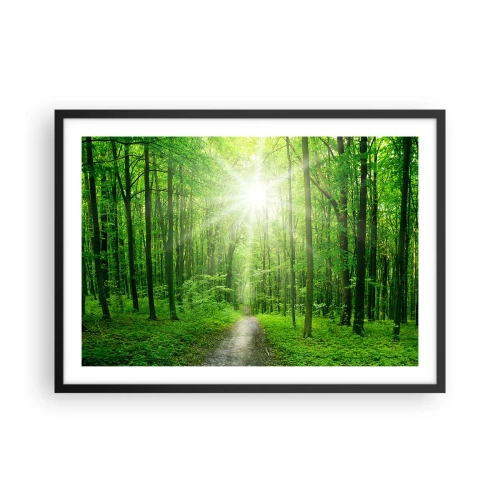 Póster en marco negro - Camino en el bosque con rayos de sol. - 70x50cm - Catedral verde - Decoración de pared moderna para salón y dormitorio ARTTOR