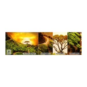Muestra de fotomural autoadhesivo Deluxe Sticker - Por un camino sinuoso, por una verde pendiente - Paisaje, Plantación de té, India - 100x30 cm